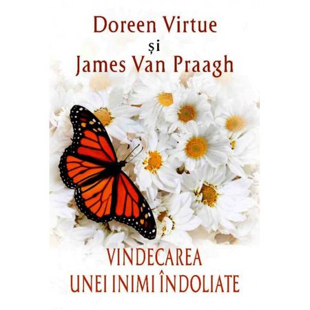 Vindecarea unei inimi indoliate - James Van Praagh, Doreen Virtue